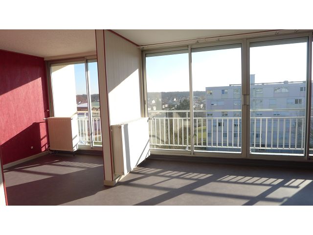 CHEVIGNY ST SAUVEUR - Appartement